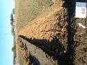 Thumbnail of Photo 040085 northwest view trench 66 taken at Hunts Green Farm