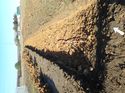 Thumbnail of Photo 040086 northwest view trench 66 taken at Hunts Green Farm