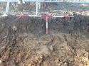 Thumbnail of Photo 050110 northeast facing representative section of trench 66 taken at Hunts Green Farm