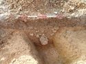 Thumbnail of Photo 050112 northeast facing section of linear [902110] taken at Hunts Green Farm