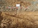 Thumbnail of Photo 050115 southeast facing section of linear [902608] taken at Hunts Green Farm