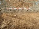 Thumbnail of Photo 050116 southeast facing section of linear [902608] taken at Hunts Green Farm
