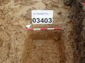 Thumbnail of Photo 050119 west facing section of linear [903403] taken at Hunts Green Farm