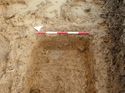 Thumbnail of Photo 050121 west facing section of linear [903403] taken at Hunts Green Farm