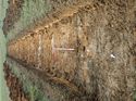 Thumbnail of Photo 050123 northwest view of trench 140 taken at Hunts Green Farm