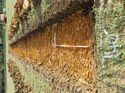 Thumbnail of Photo 050125 southeast view of trench 140 taken at Hunts Green Farm