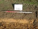 Thumbnail of Photo 050126 southeast facing representative section of trench 140 taken at Hunts Green Farm