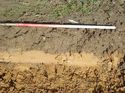 Thumbnail of Photo 050127 southeast facing representative section of trench 140 taken at Hunts Green Farm
