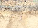 Thumbnail of Photo 050137 north facing section of ditch [915006] taken at Hunts Green Farm
