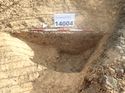 Thumbnail of Photo 060149 northwest facing section rooting [914004] taken at Hunts Green Farm