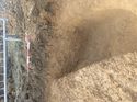 Thumbnail of Photo 060152 southeast facing section rooting [914004] taken at Hunts Green Farm