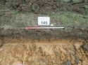 Thumbnail of Photo 090174 northwest facing representative section of trench 145 taken at Hunts Green Farm