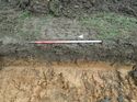 Thumbnail of Photo 090175 northwest facing representative section of trench 145 taken at Hunts Green Farm