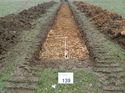 Thumbnail of Photo 090176 east view of trench 139 taken at Hunts Green Farm
