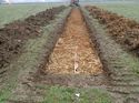 Thumbnail of Photo 090177 east view of trench 139 taken at Hunts Green Farm