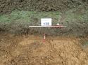 Thumbnail of Photo 090180 south facing representative section of trench 139 taken at Hunts Green Farm
