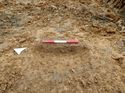 Thumbnail of Photo 090183 southwest facing section of rooting [914502] taken at Hunts Green Farm