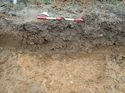 Thumbnail of Photo 090185 south facing section of natural feature [914902] taken at Hunts Green Farm