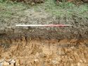 Thumbnail of Photo 090195 representative section of trench 136 taken at Hunts Green Farm