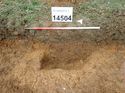 Thumbnail of Photo 090196 southeast facing section of rooting/ditch [914504] taken at Hunts Green Farm