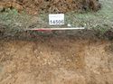 Thumbnail of Photo 090198 south facing section of rooting/ditch [914506] taken at Hunts Green Farm