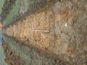 Thumbnail of Photo 090203 south view of trench 135 taken at Hunts Green Farm