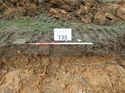Thumbnail of Photo 090204 southwest facing representative section of trench 135 taken at Hunts Green Farm