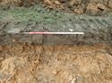 Thumbnail of Photo 090205 southwest facing representative section of trench 135 taken at Hunts Green Farm