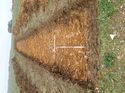 Thumbnail of Photo 090209 north view of trench 147 taken at Hunts Green Farm