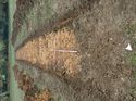 Thumbnail of Photo 090211 south view of trench 147 taken at Hunts Green Farm