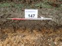 Thumbnail of Photo 090212 southwest facing representative section of trench 147 taken at Hunts Green Farm