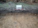 Thumbnail of Photo 090216 west facing section of ditch terminus [913502] taken at Hunts Green Farm