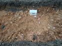 Thumbnail of Photo 090218 north facing section of pit [913503] taken at Hunts Green Farm