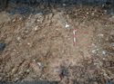 Thumbnail of Photo 090219 north facing section of natural feature [913904] taken at Hunts Green Farm