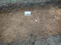 Thumbnail of Photo 090220 north facing section of natural feature [913904] taken at Hunts Green Farm