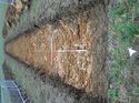 Thumbnail of Photo 090223 northwest view of trench 143 taken at Hunts Green Farm