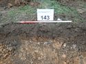 Thumbnail of Photo 090225 west facing representative section of trench 143 taken at Hunts Green Farm