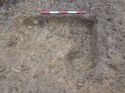 Thumbnail of Photo 090237 section of rooting  [914904] taken at Hunts Green Farm