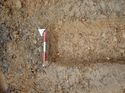 Thumbnail of Photo 100248 south facing section of ditch [913602] taken at Hunts Green Farm