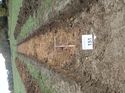 Thumbnail of Photo 100251 west view of trench 151 taken at Hunts Green Farm