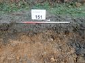 Thumbnail of Photo 100253 south facing representative section of trench 151 taken at Hunts Green Farm