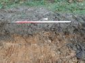 Thumbnail of Photo 100254 south facing representative section of trench 151 taken at Hunts Green Farm