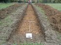 Thumbnail of Photo 100255 southwest view of trench 152 taken at Hunts Green Farm