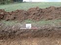 Thumbnail of Photo 100259 southeast facing representative section of trench 152 taken at Hunts Green Farm