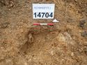Thumbnail of Photo 100261 northwest facing section of rooting [914704] taken at Hunts Green Farm