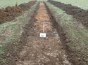 Thumbnail of Photo 100275 south view of trench 131 taken at Hunts Green Farm