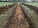 Thumbnail of Photo 100276 south view of trench 131 taken at Hunts Green Farm