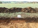 Thumbnail of Photo 100277 east facing representative section of trench 131 taken at Hunts Green Farm