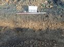Thumbnail of Photo 100279 west facing section of natural feature [913103] taken at Hunts Green Farm
