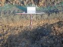 Thumbnail of Photo 100283 west facing section of natural feature [913104] taken at Hunts Green Farm